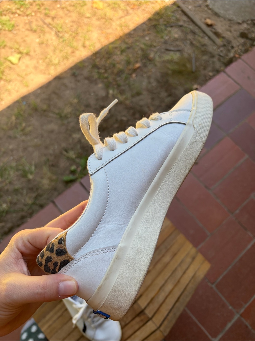 Keds White Leather Sneakers with Leopard Heel and Black Side Accent - Picture 4 of 9